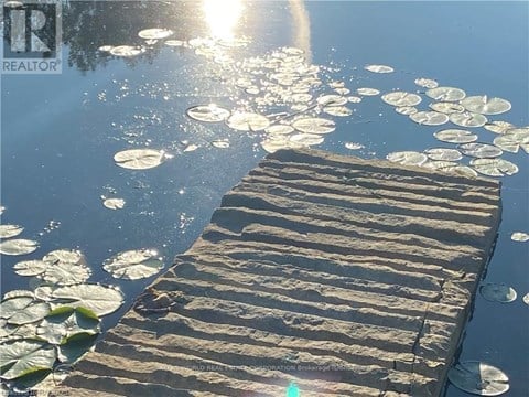A wooden dock with lily pads floating on the water.