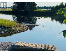 A calm river with a wooden dock and a bird flying.
