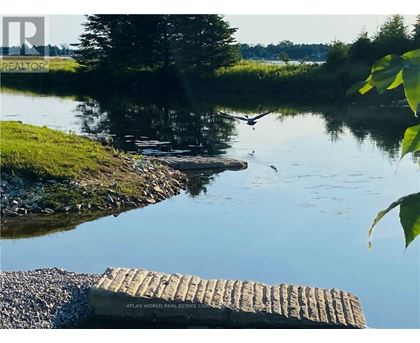 A calm river with a wooden dock and a bird flying.