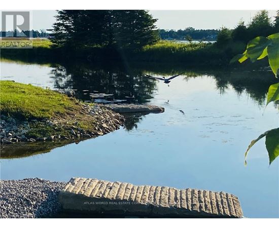 A calm river with a wooden dock and a bird flying.