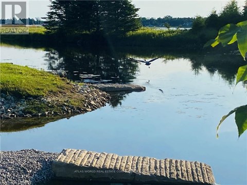 A calm river with a wooden dock and a bird flying.