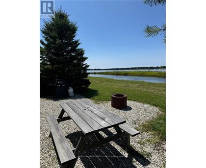 A picnic table sits on a gravel area next to a tree and a body of water.