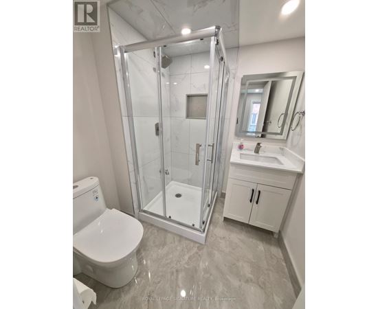 A white toilet is next to a walk-in shower in a bathroom.