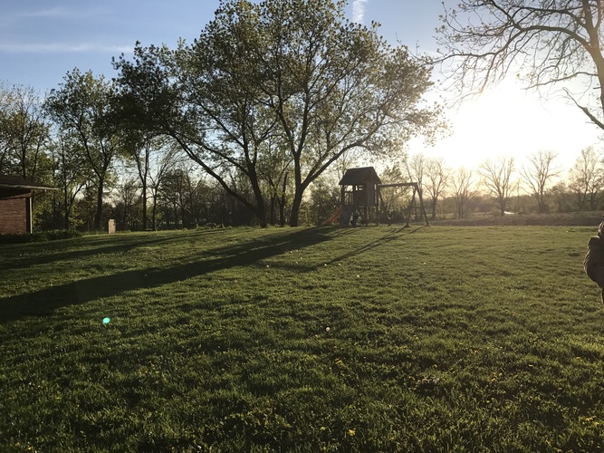 A grassy field with a tree and a structure in the background.