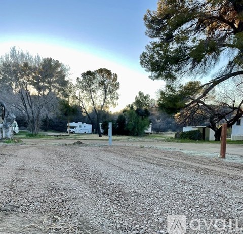 A dirt road with trees and a rainbow in the background.