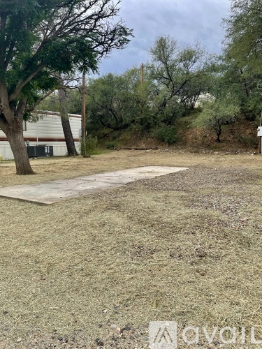 A backyard with a tree and a white fence.