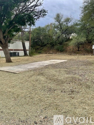 A backyard with a tree and a white fence.