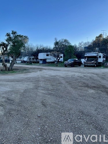 A gravel lot with a few RVs and a tree.