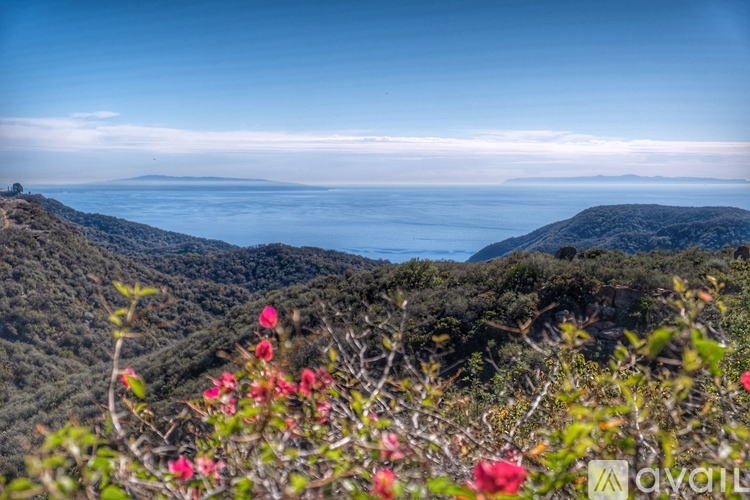 A landscape with a view of the sea through the trees.