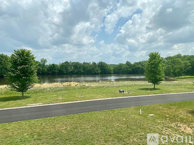 A grassy area with a road and trees in the distance.