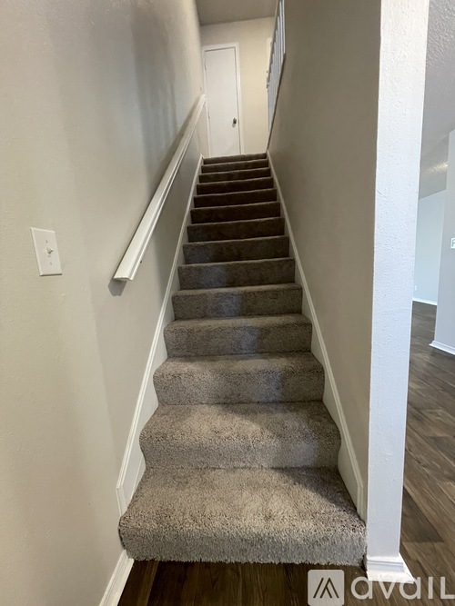 A staircase with a carpeted runner and wooden steps.