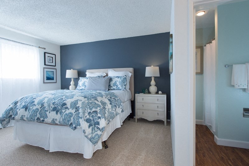 Sienna apts bedroom with a dark teal wall a bed placed int he middle of two white nightstands with blue flower bedspread.