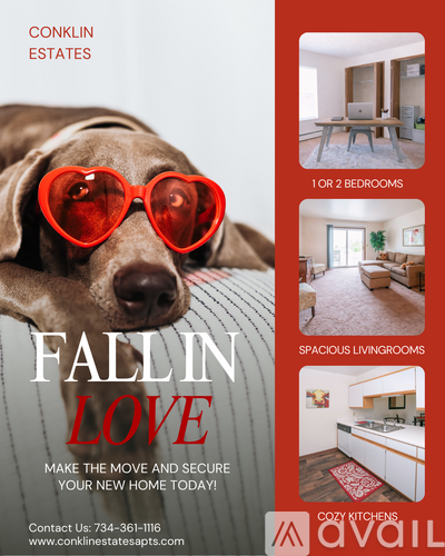 A dog wearing red heart-shaped glasses is the main focus of this image.