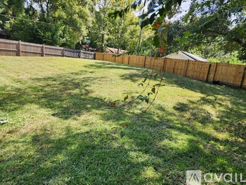 A backyard with a wooden fence and a tree branch in the foreground.