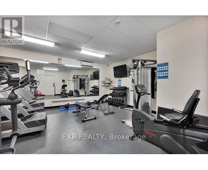 A gym with treadmills, weights, and exercise equipment.
