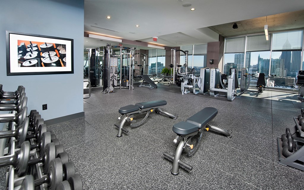 a gym with weights and a view of the city