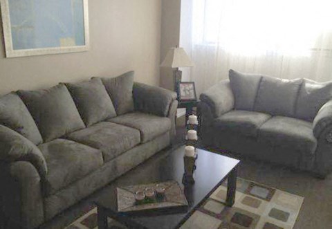 a living room with two couches and a coffee table