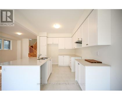 A white kitchen with a sink and cabinets.