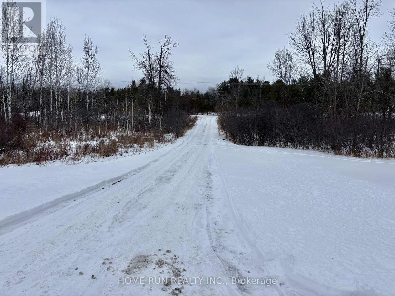 A snowy road stretches into the distance with trees on either side.