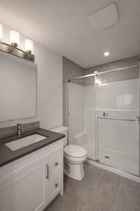 A modern bathroom with a walk-in shower and a white toilet.