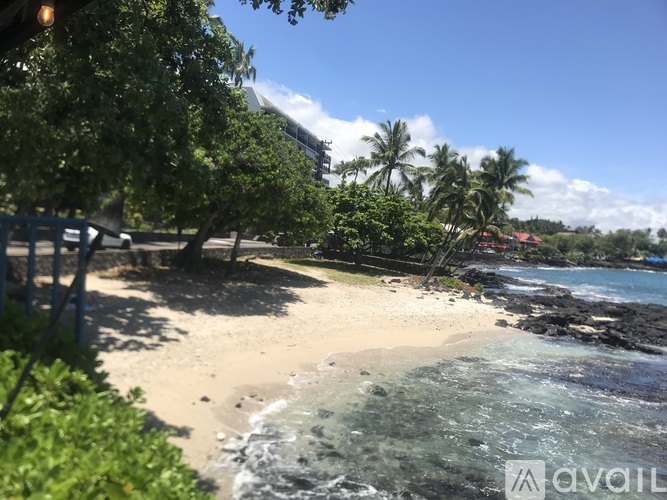 A beach with clear water and a few trees.
