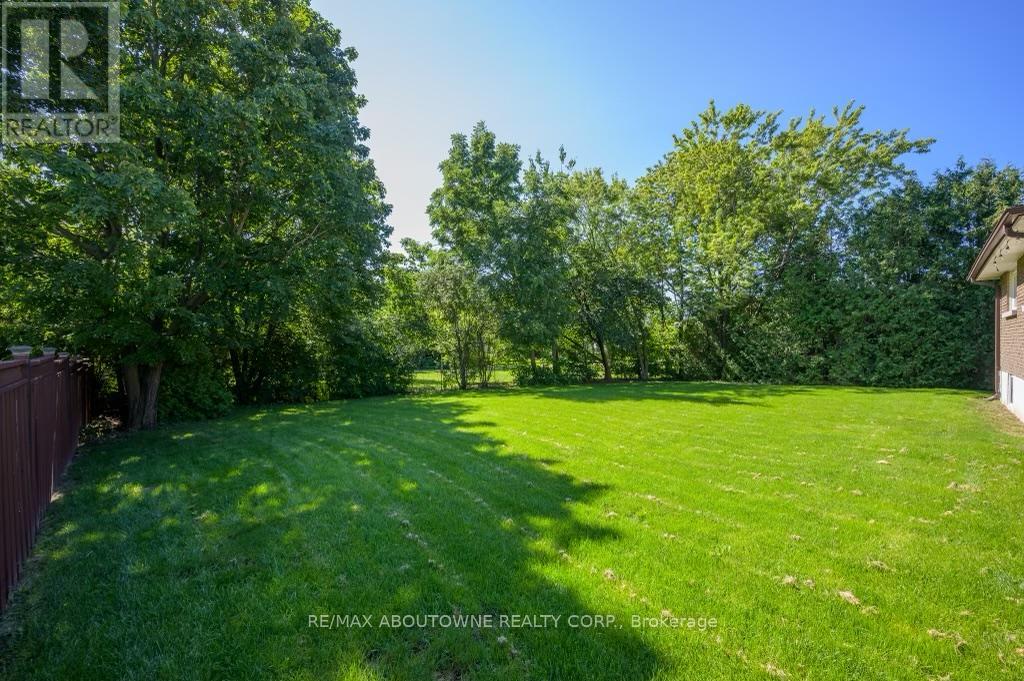 A lush green yard with trees and a house in the background.