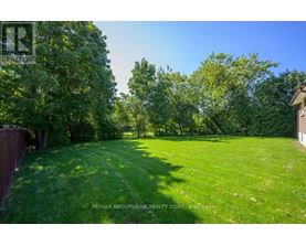 A lush green yard with trees and a house in the background.