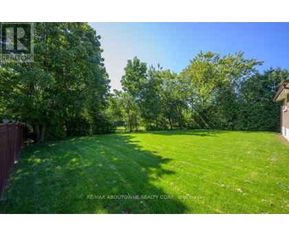 A lush green yard with trees and a house in the background.