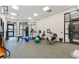 A gym with a variety of equipment including a treadmill, exercise ball, and weight bench.