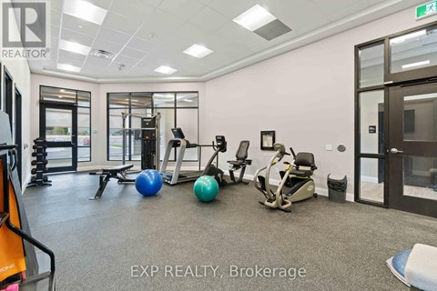 A gym with a variety of equipment including a treadmill, exercise ball, and weight bench.