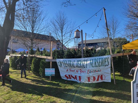 A sign that says "Sunset Trail Jersey Nurseries" is displayed in front of a building.