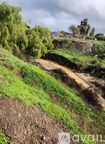 A dirt path winds through a grassy hillside.