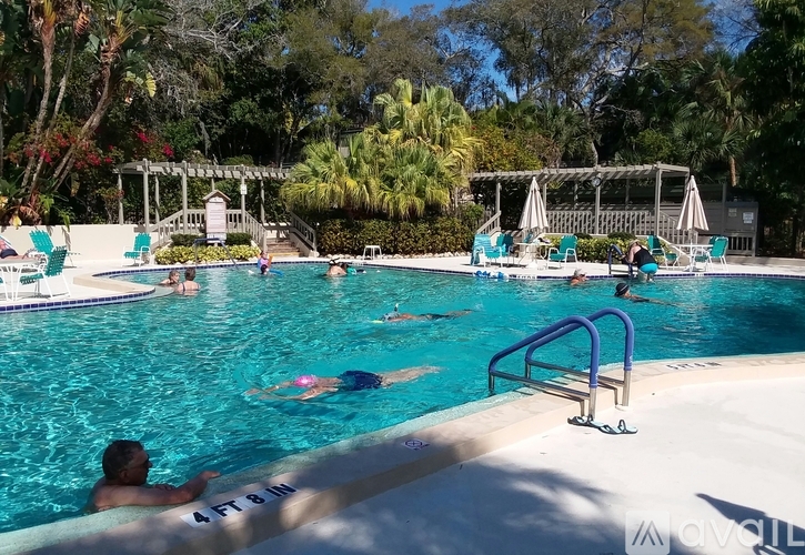A pool with people swimming and sun loungers.