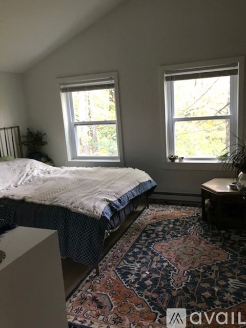 A bedroom with a bed, a rug, and two windows.