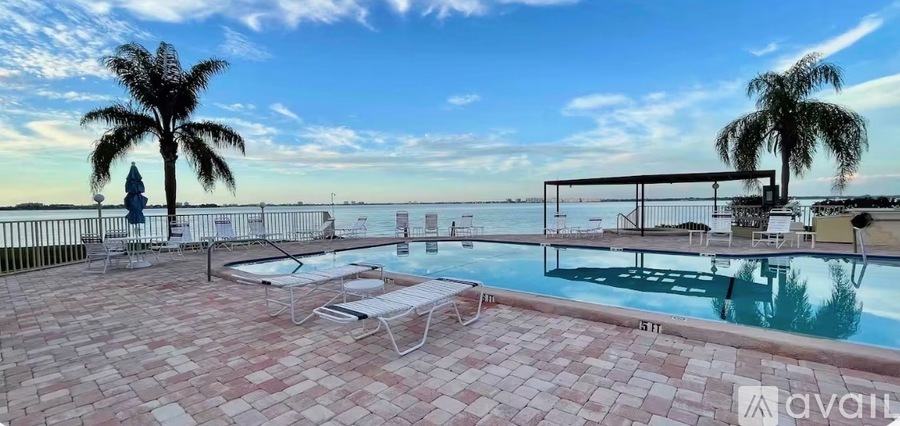 A pool with a sun lounger and a palm tree.