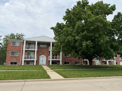 A tree in front of a brick building.