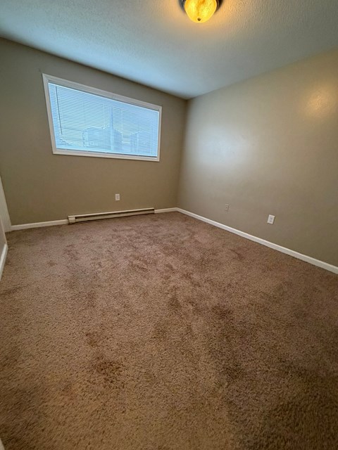 A room with a carpeted floor and a window.