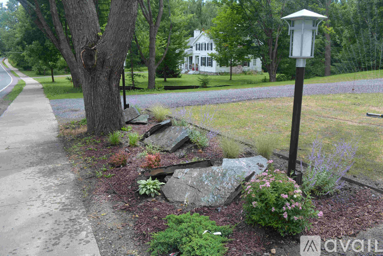 A garden with a stone path and a bird bath.