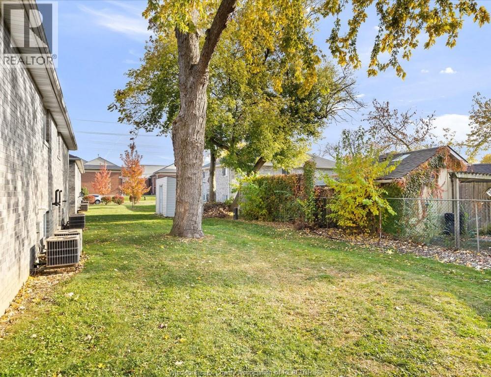 A tree with yellow leaves stands in a grassy yard.