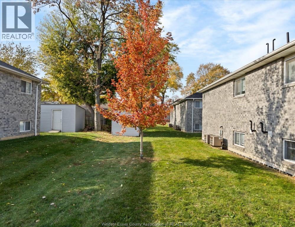 A tree with orange leaves stands in a grassy yard between two houses.