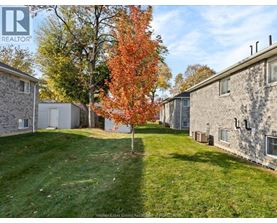 A tree with orange leaves stands in a grassy yard between two houses.