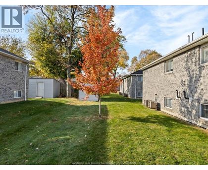 A tree with orange leaves stands in a grassy yard between two houses.