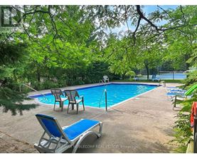 A pool surrounded by trees and chairs.