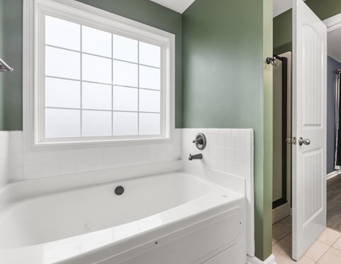1384 Constitution Drive 4 Beds Apartment for Rent