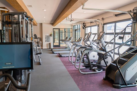 A gym with treadmills and exercise machines.