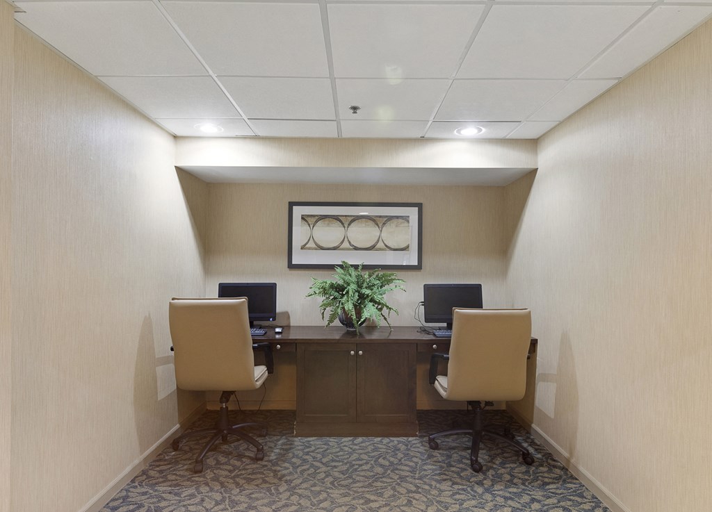 a conference room with a table and chairs and a plant in the middle