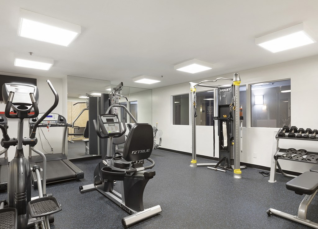 a gym with cardio equipment and weights in a building