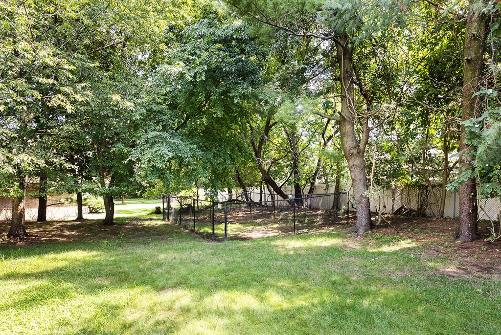 a yard with trees and a fence