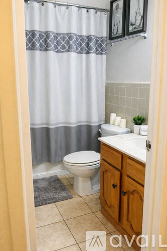 A bathroom with a toilet, sink, and shower curtain.