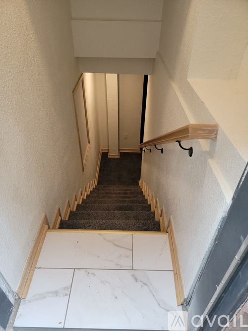 A stairway with a carpeted runner and wooden risers.